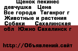 Щенок пекинес девчушка › Цена ­ 2 500 - Все города, Таганрог г. Животные и растения » Собаки   . Сахалинская обл.,Южно-Сахалинск г.